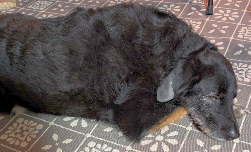 Im Proberaum am 22.12.25 - Fotos von Roswitha